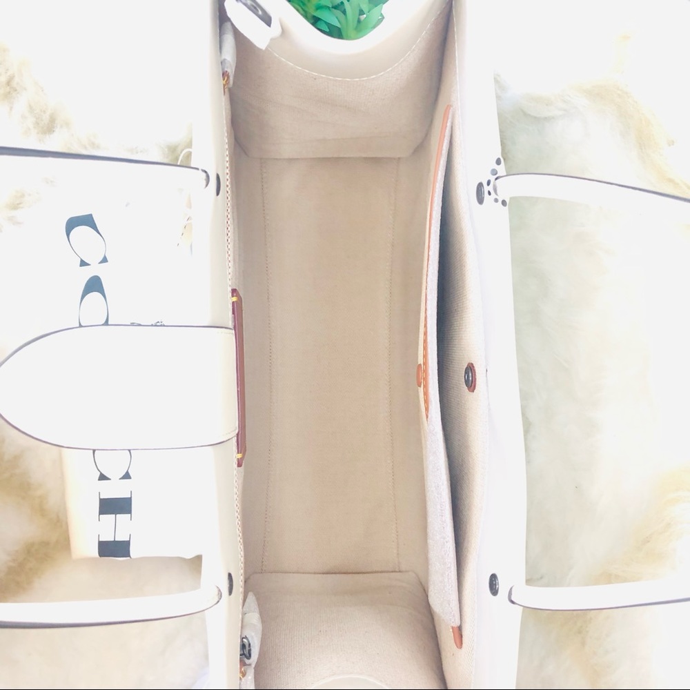Rare Coach Cashin C9724 Carry 32 Trompe L’oeil, Spring 2022 Runway Collection - Picture 13 of 16